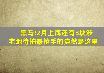 黑马!2月上海还有3块涉宅地待拍最抢手的竟然是这里(