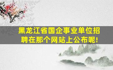 黑龙江省国企事业单位招聘在那个网站上公布呢!