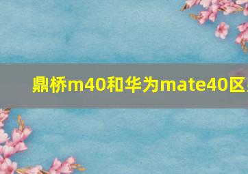 鼎桥m40和华为mate40区别