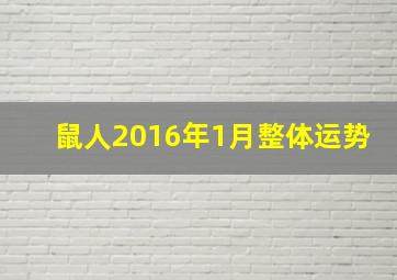 鼠人2016年1月整体运势