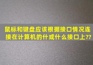 鼠标和键盘应该根据接口情况连接在计算机的什或什么接口上??