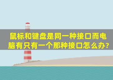 鼠标和键盘是同一种接口,而电脑有只有一个那种接口,怎么办?