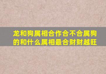 龙和狗属相合作合不合属狗的和什么属相最合财财越旺