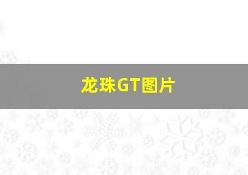 龙珠GT图片