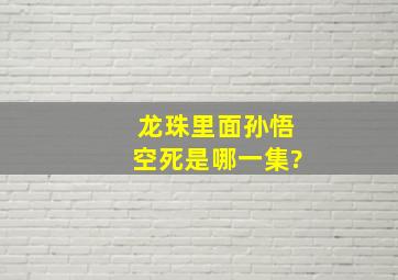 龙珠里面孙悟空死是哪一集?