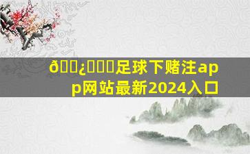 🅿️♐️足球下赌注app网站最新2024入口