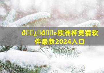 🅿️🎻欧洲杯竞猜软件最新2024入口